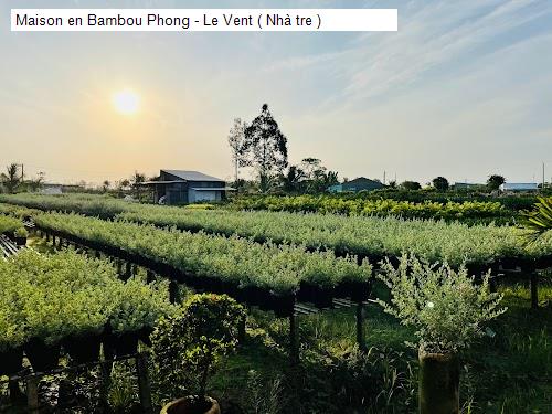 Cảnh quan Maison en Bambou Phong - Le Vent ( Nhà tre )