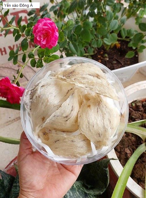  Đồng Tháp - Danh sách 2 Cửa Hàng Yến Sào tại TP. Cao Lãnh, T. Đồng Tháp