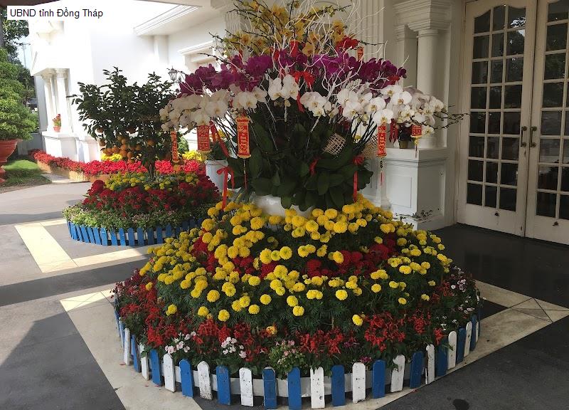 UBND tỉnh Đồng Tháp