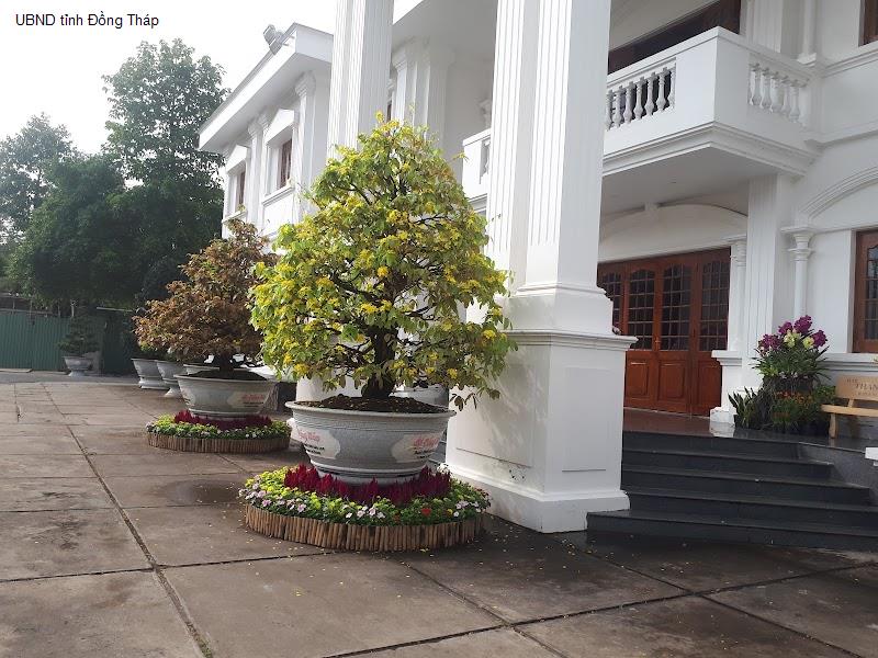 UBND tỉnh Đồng Tháp