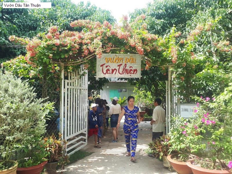 Vườn Dâu Tân Thuận