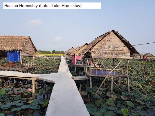 Hai Lua Homestay (Lotus Lake Homestay)